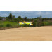 Curare Classic F3A Pattern 43 Inch ARF 30E (Fixed Gear) - New 2026 by Seagull