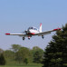 Cherokee 1.3M BNF Basic with AS3X & SAFE by Eflite