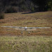 Conscendo 2.0m BNF Basic with AS3X+ and SAFE Select by Eflite Conscendo 2.0m BNF Basic with AS3X+ and SAFE Select by Eflite